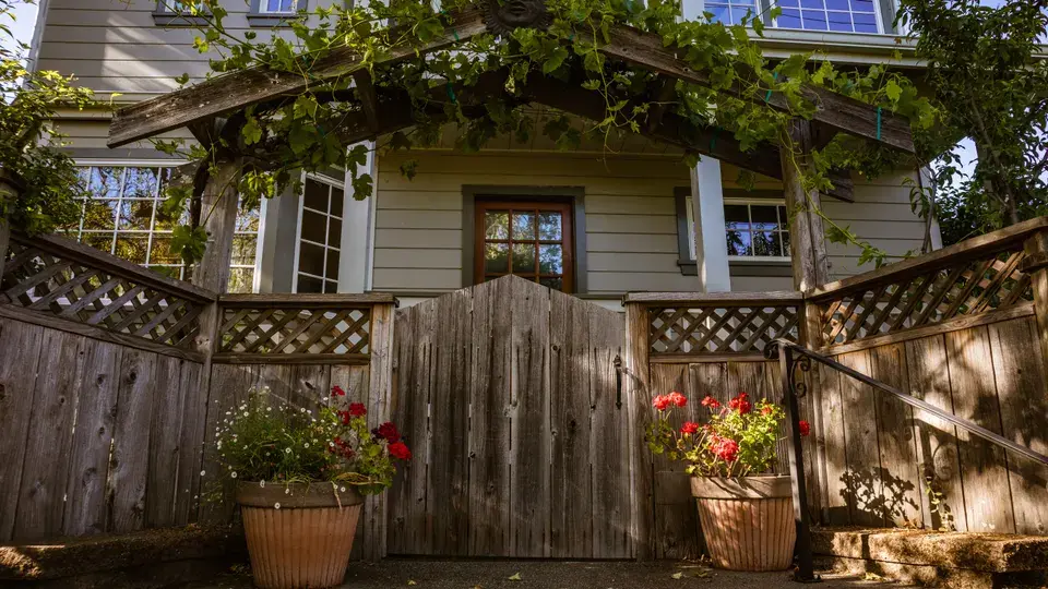 mold removal Clackamas